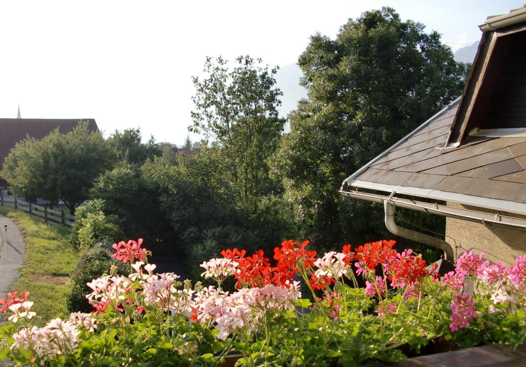 Gasthof-Pension Reidnwirt Baldramsdorf 외부 사진